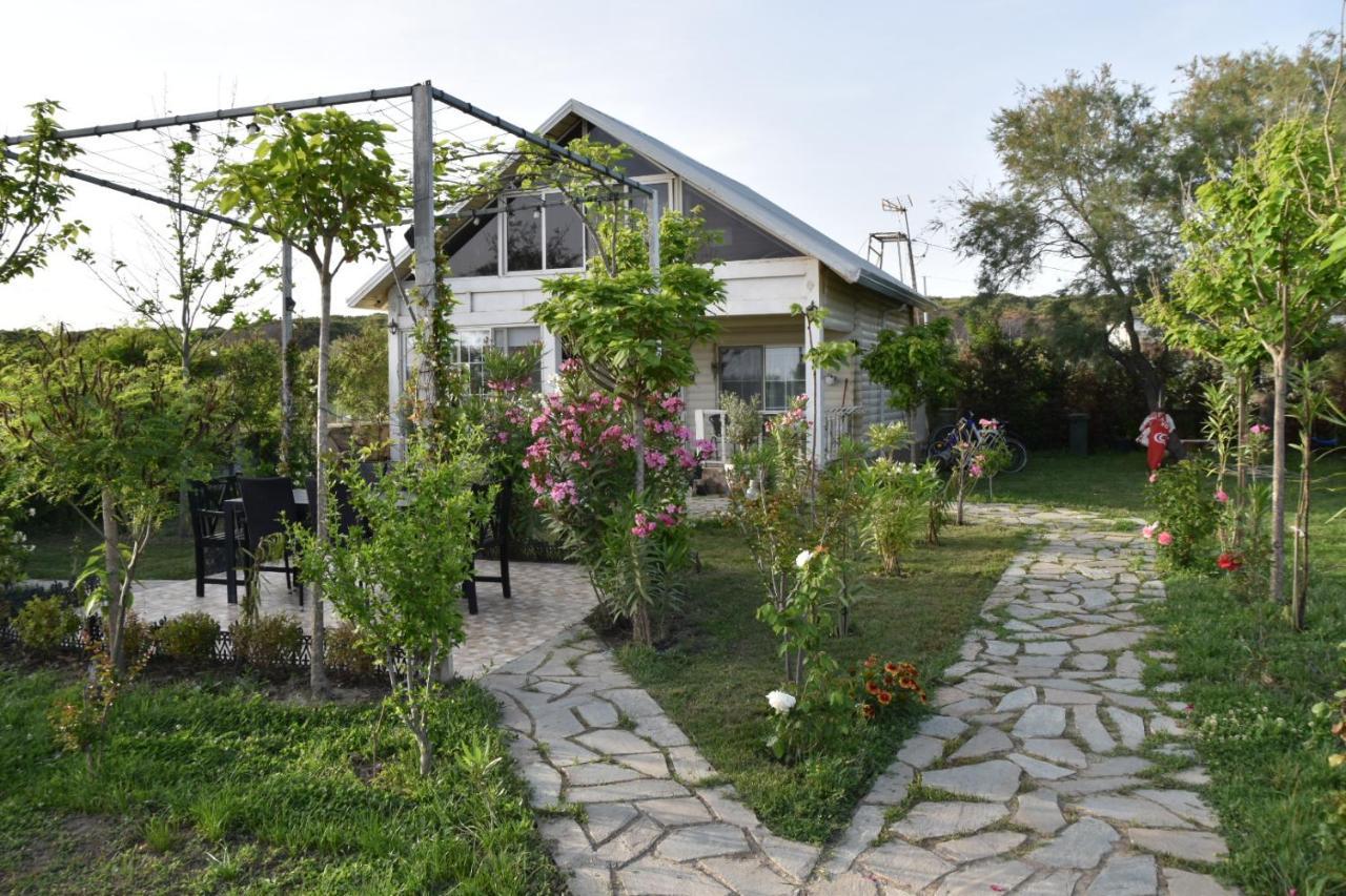 Beachfront, Tirana Guest House Velipoje Luaran gambar
